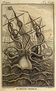 colossal octopus engraving