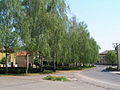 Čeština: Stromy na návsi v Libkovicích pod Řípem. English: Trees in the square in Libkovice pod Řípem.