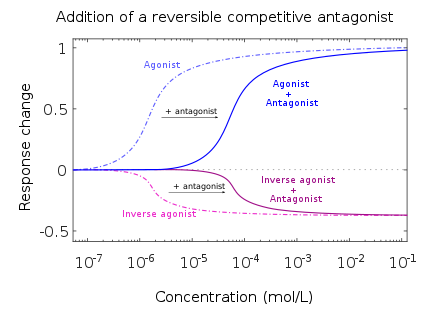 Agonists require higher dose/concentration to achieve the same effect when in the presence of a reversible competitive antagonist.[15]