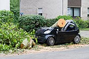 Deutsch: Zerstörtes Auto in Mülheim an der Ruhr an der Hingbergstraße English: Damaged car after storm in Mülheim an der Ruhr