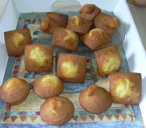 Madeleines.sized.png