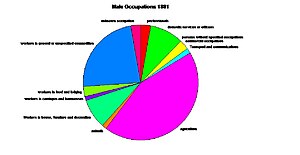 A Pie Chart to Show the Employment Structure for Males Living in Dunstall in 1881