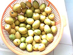 A basket of ripe mangoes from Bangladesh