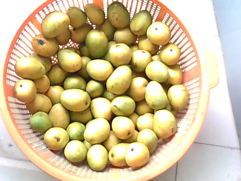 File:Mango Rezowan.jpg