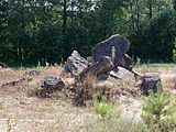 English: Stones in Marzysz Pierwszy (gmina Daleszyce)