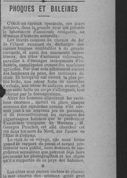 Fichier:Maupassant - Phoques et baleines, paru dans Gil Blas, 9 février 1882.djvu