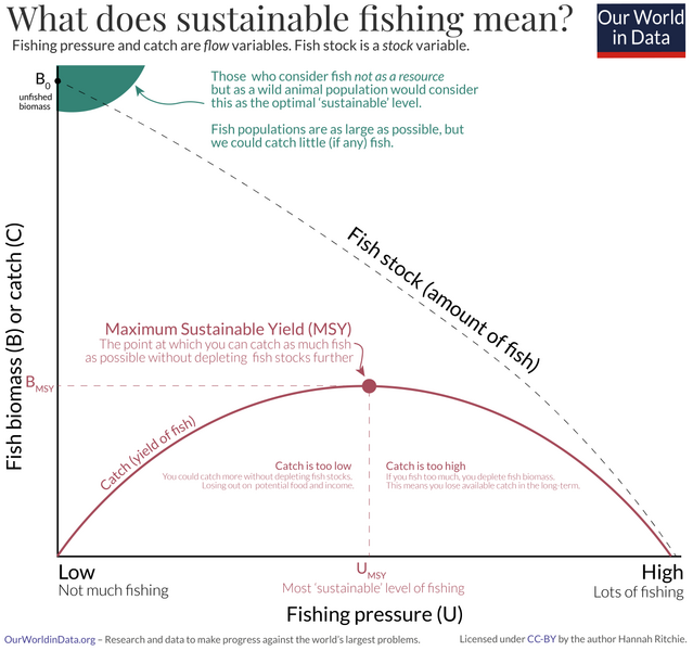 Maximum-sustainable-yield-of-fish-with-addition.png