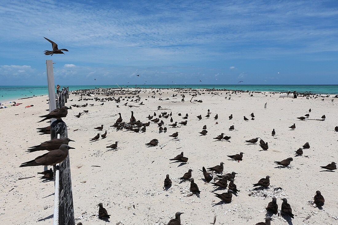 Michaelmas and Upolu Cays National Park