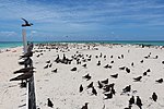 Thumbnail for Michaelmas and Upolu Cays National Park