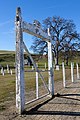 * Nomination Millsap Cemetery in Glenn County, California, in January 2022. Entrance gate with holes from Acorn woodpeckers (Melanerpes formicivorus) using the gate like a granary tree --Frank Schulenburg 04:01, 18 January 2022 (UTC) * Promotion  Support Good quality. --XRay 04:48, 18 January 2022 (UTC)