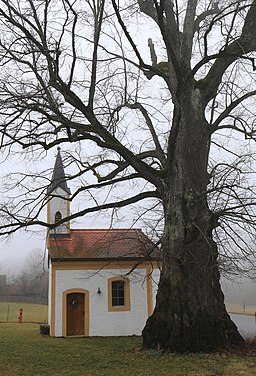 Mittenkirchner Str. 5 Kapelle Linde Fentbach Weyarn-15