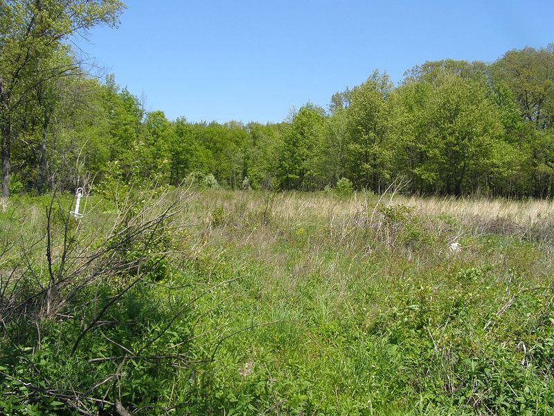 File:Mnoke Prairie P5190026.jpg