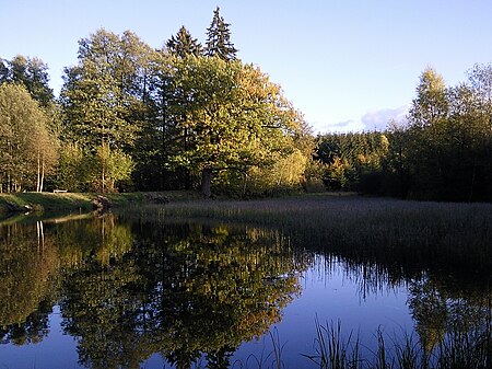 Moellerteich (Unterharz) Teichdamm