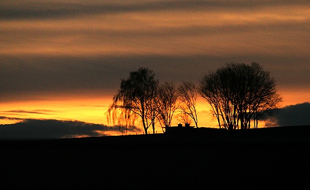 Goldene Stunde auf dem Lande