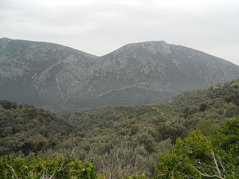 File:Mount Parnassus (5987146790).jpg