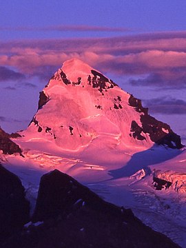 Mt. Forbes in Alpenglow, von Arctomys Peak.jpg