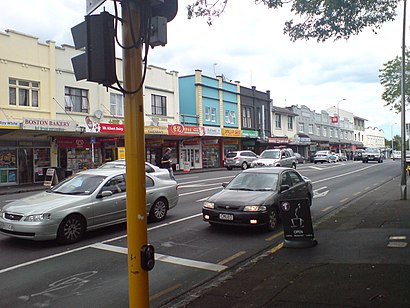 How to get to Mt Albert Primary School with public transport- About the place