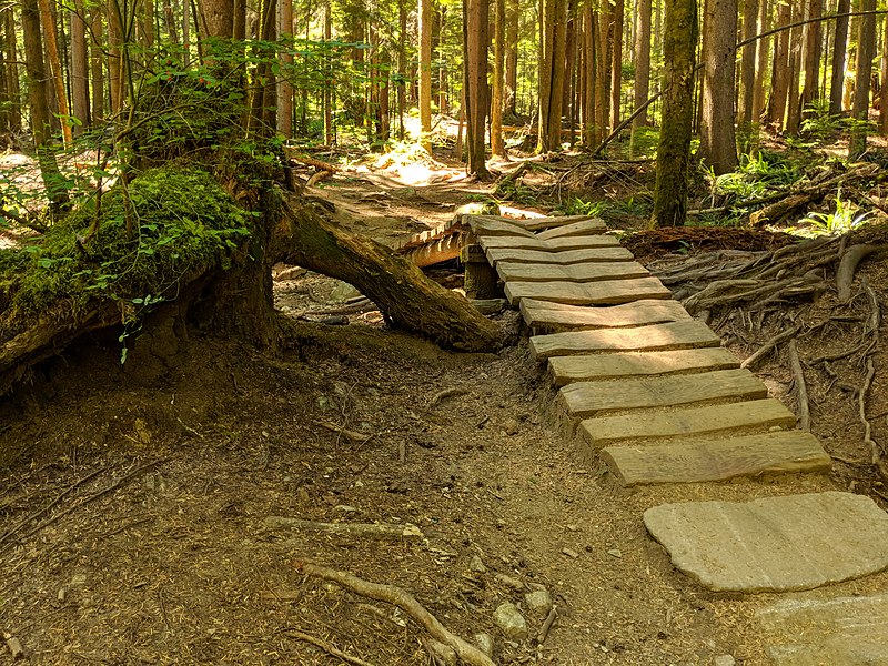 File:Mt Fromme - Upper Griffen trail.jpg