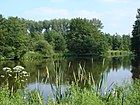 ヴィーンブルク公園の池
