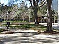 A courtyard in Muir College at UCSD.