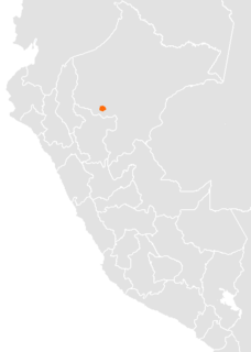 Munichi language Extinct language of Peru