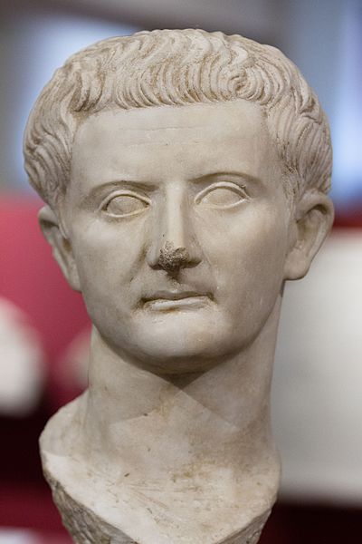 Portrait of Tiberius; Musée Saint-Raymond. Toulouse