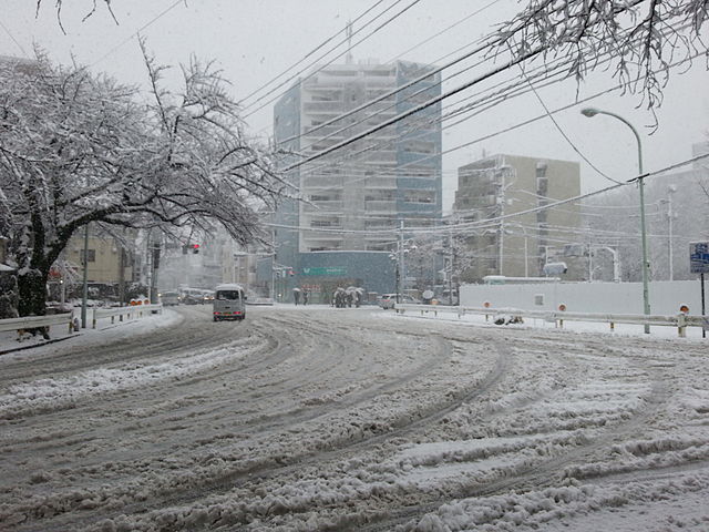 640px-Musashino_in_the_snow_1.jpg (640×480)