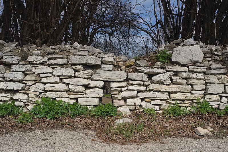 File:Myszkowice wall embrasure 2021.jpg