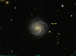 NGC 3362