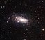 NGC 3621.jpg