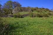 Impressionen vom Naturschutzgebiet Basaltblockmeer am Buchschirmküppel,