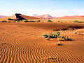 Juu Namib-Wüüste an juu Atlantik-Kuste fon Namibia, n suudwäästafrikoansk Lound