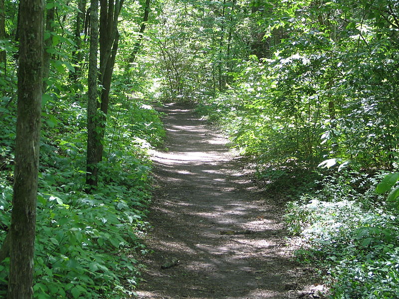 File:Natchez Trace Trail.jpg