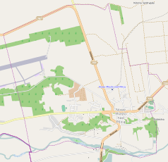Mapa konturowa Nowego Miasta nad Pilicą, w centrum znajduje się punkt z opisem „miejsce zdarzenia”