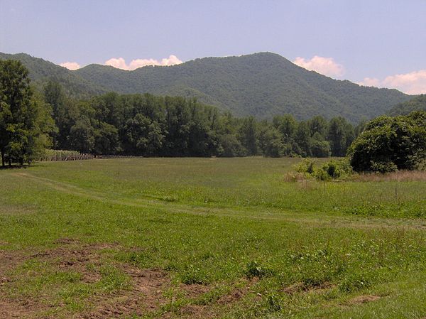 The Oconaluftee bottomlands, with Rattlesnake Mountain rising in the distance.