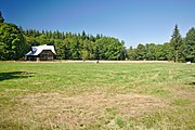 Čeština: Přírodní rezervace Trčkovská louka, okres Rychnov nad Kněžnou