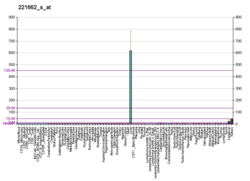 PBB GE SLC22A7 221662 s в формате fs.png