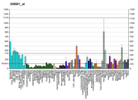 PBB GE STAT3 208991 at fs.png