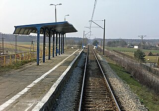 <span class="mw-page-title-main">Nieporęt railway station</span>