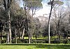 Parco e Villa Borghese.jpg