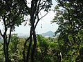 Миниатюра для Файл:Parque Natural Metropolitano - Mirador - vista hacia el Cerro Ancon - panoramio.jpg
