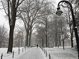 <span class="mw-page-title-main">Penn State University Park</span> University campus in Pennsylvania