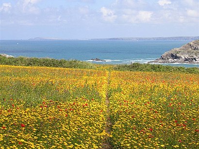 How to get to West Pentire with public transport- About the place