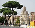 Personal walking tour, Rome (31479659177).jpg