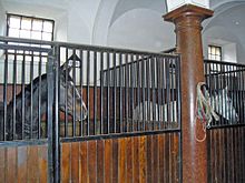 [1] ein Stall mit zwei Pferden (Pferdestall)