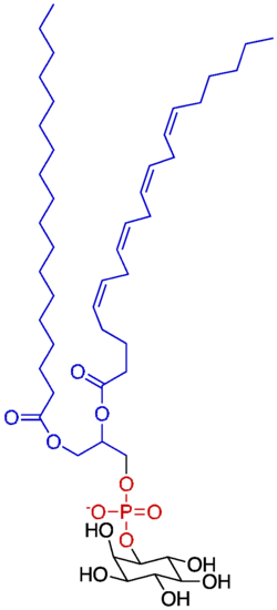 Phosphatidylinositol.png