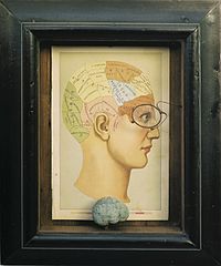 Phrenology of the Brain, 1895. 36 x 30.5 x 9 cm. MuseumZeitraum Leipzig.