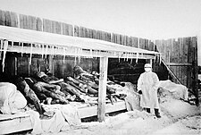 Picture of Manchurian Plague victims in 1910-1911 Picture of Manchurian Plague victims in 1910 -1911.jpg