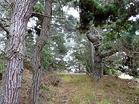 Mendocino, California