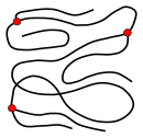 Forgrenet polymerstruktur